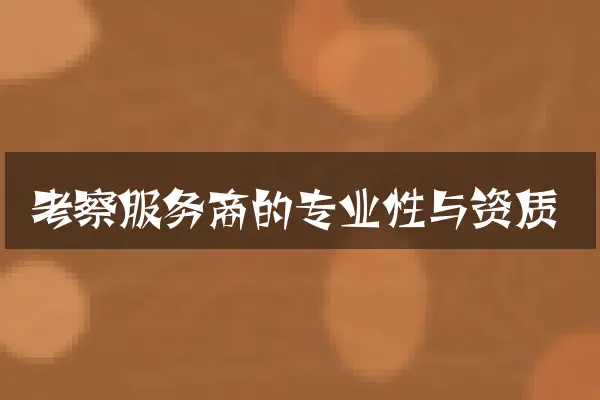 考察服务商的专业性与资质