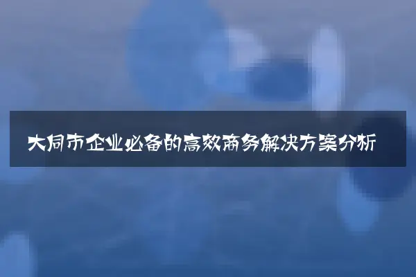 大同市企业必备的高效商务解决方案分析